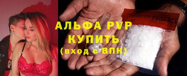 эйфоретик Богданович
