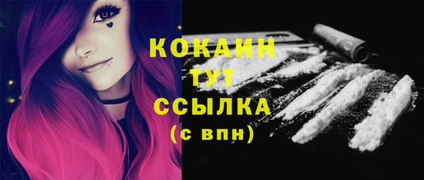 эйфоретик Богданович