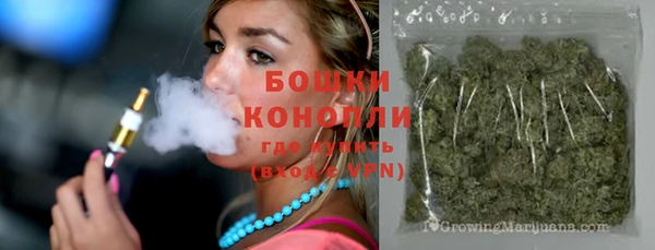 эйфоретик Богданович