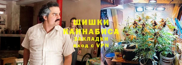 эйфоретик Богданович