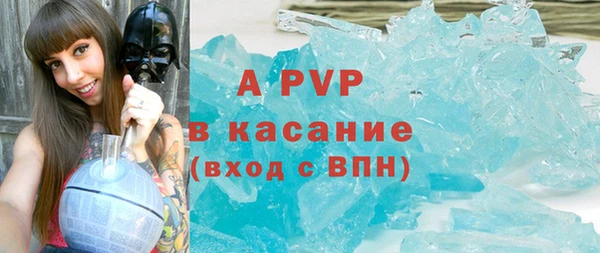 эйфоретик Богданович