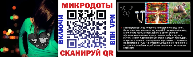 Галлюциногенные грибы Psilocybine cubensis  kraken как войти  Муравленко 